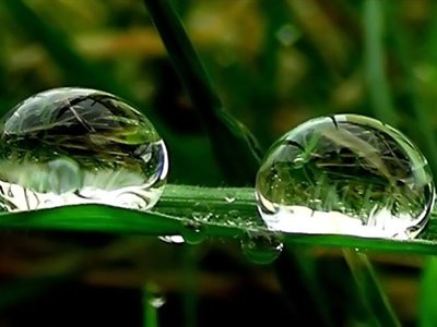 invironmental-pullotion19