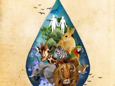 invironmental-pullotion2